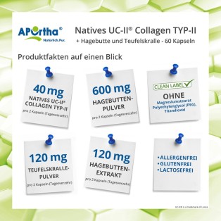 Natives UC-II® Collagen TYP-II + Hagebutte und Teufelskralle - 60 Kapseln
