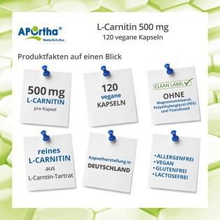 L-Carnitin 500 mg - 120 vegane Kapseln