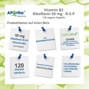 Vitamin B2 - Riboflavin 50 mg - R-5-P - 120 vegane Kapseln
