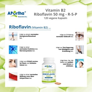 Vitamin B2 - Riboflavin 50 mg - R-5-P - 120 vegane Kapseln