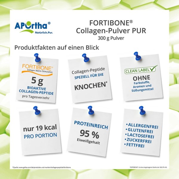 FORTIBONE® B (Rind) Collagen-Pulver PUR - 300 g Pulver - Dose